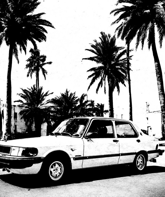 Young Saab
