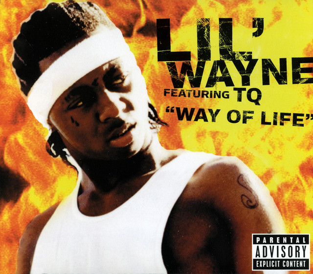 Way Of Life (International 4 Track)