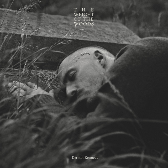 The Weight of the Woods (Extended Edition)