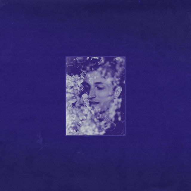 indigo