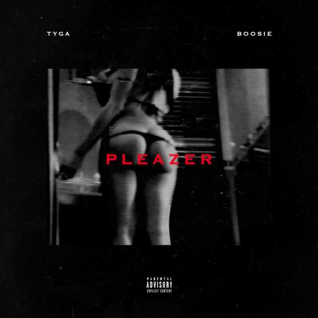 Pleazer (feat. Boosie Badazz) - Single