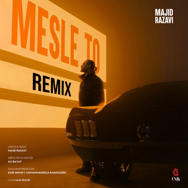 Mesle To (Remix)