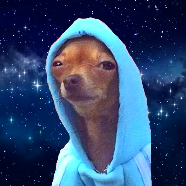 SPACEDØG