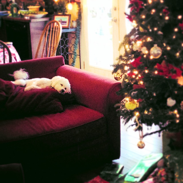 The Holiday