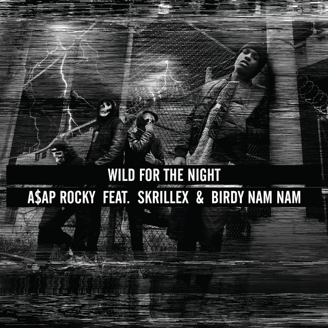 Wild for the Night (feat. Skrillex & Birdy Nam Nam)