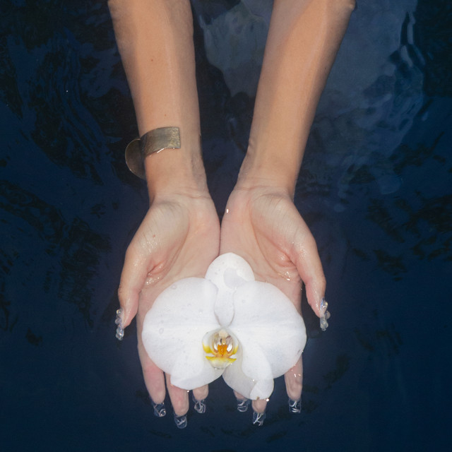 orchids (lullabies)