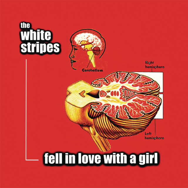 Fell in Love with a Girl