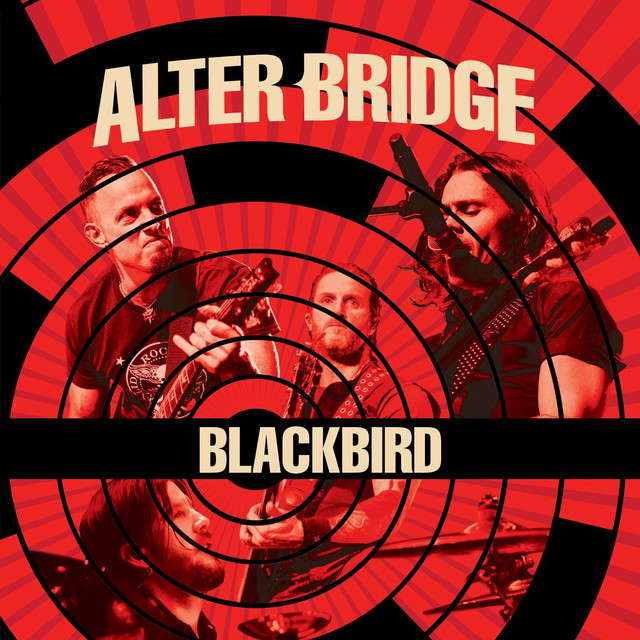Blackbird (Live)
