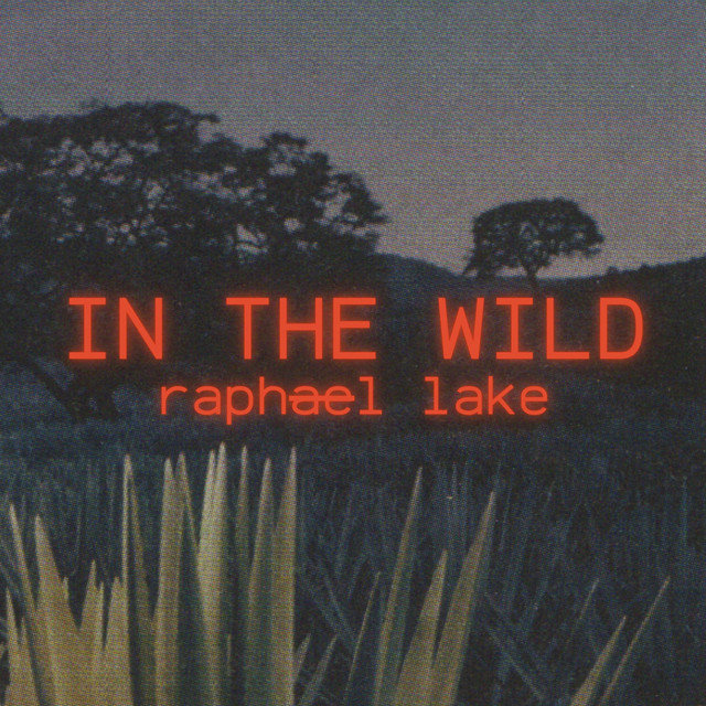 In The Wild