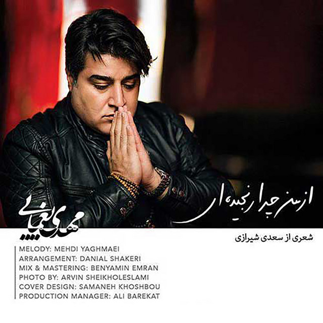 Mehdi Yaghmaei