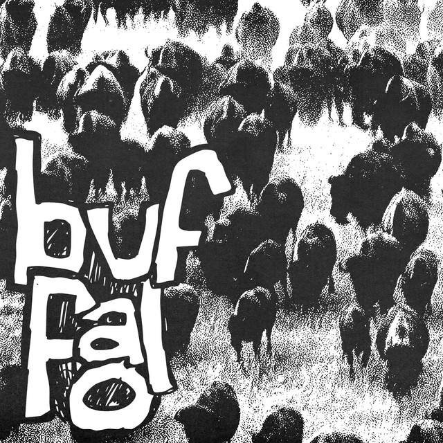 Buffalo