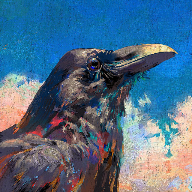 Karasu - Raven