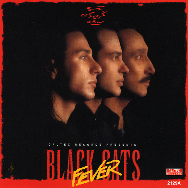 Black Cats Fever