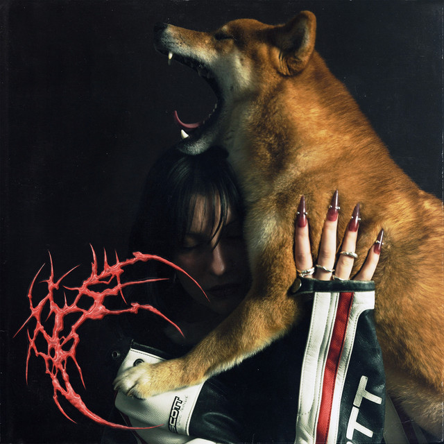Shiba