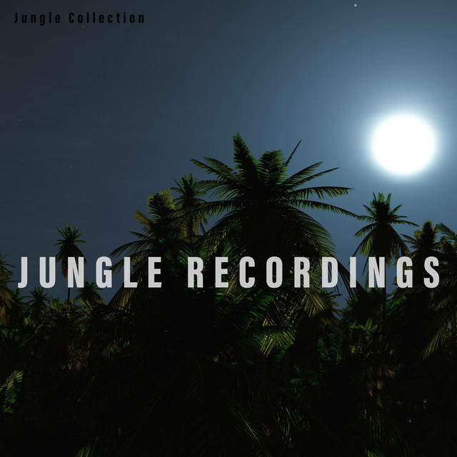 Jungle Collection