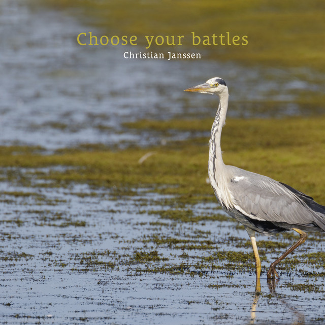 Choose your battles