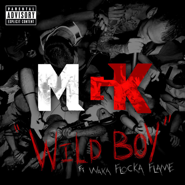 Wild Boy
