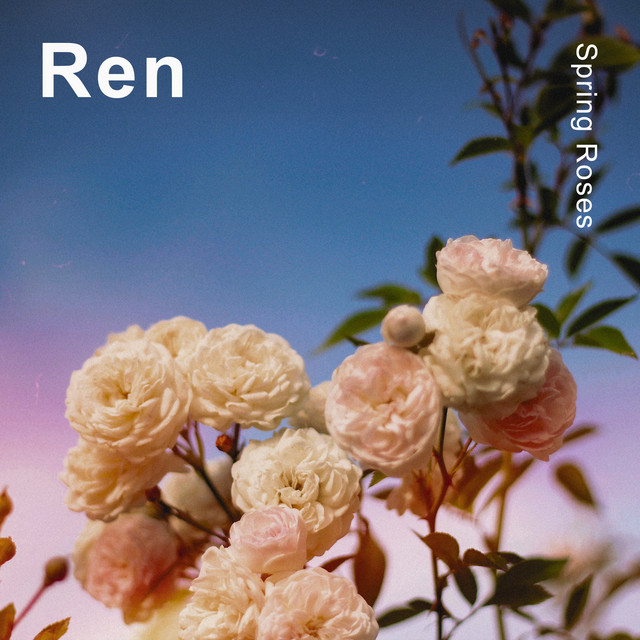 Spring Roses