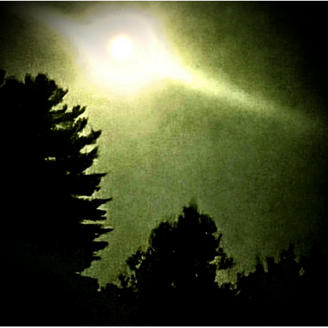 nightsong