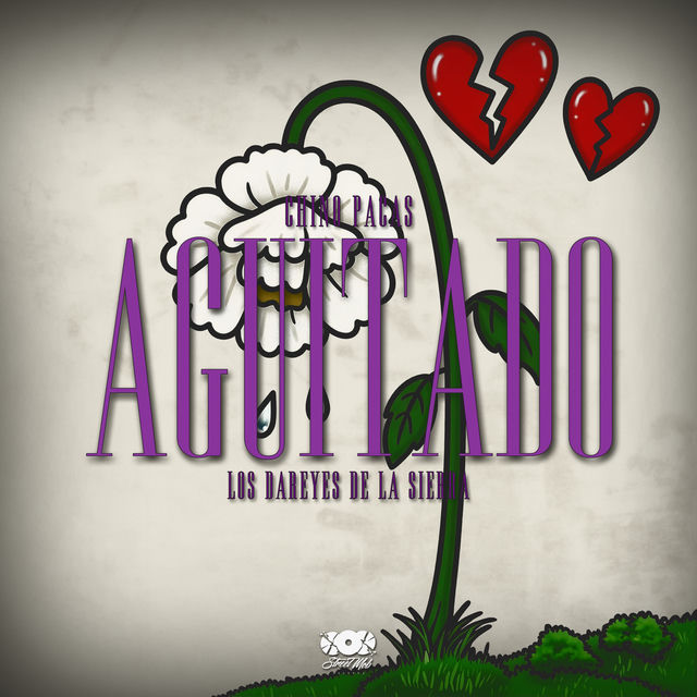 AGÜITADO