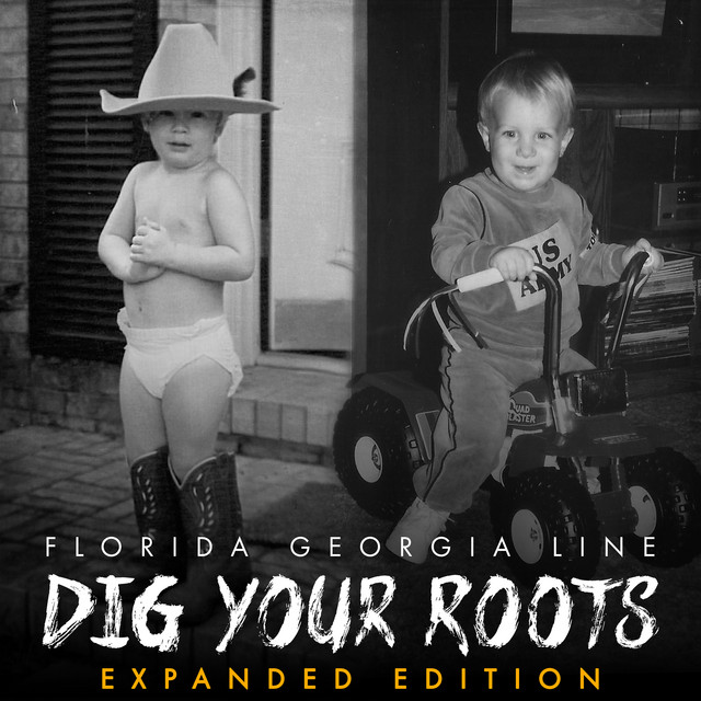 Dig Your Roots (Expanded Edition)