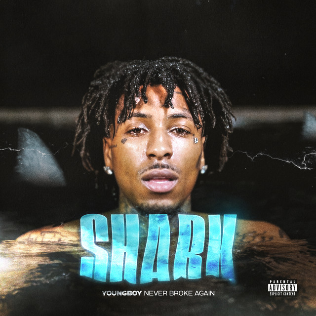 Shark