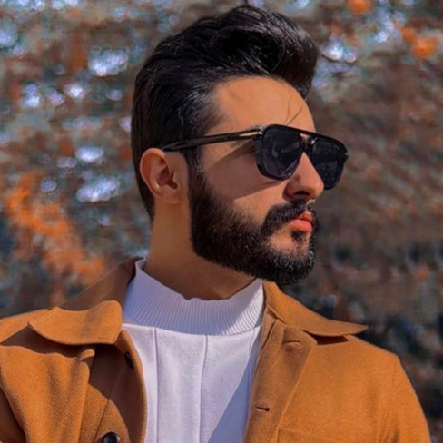 Morteza Shokri
