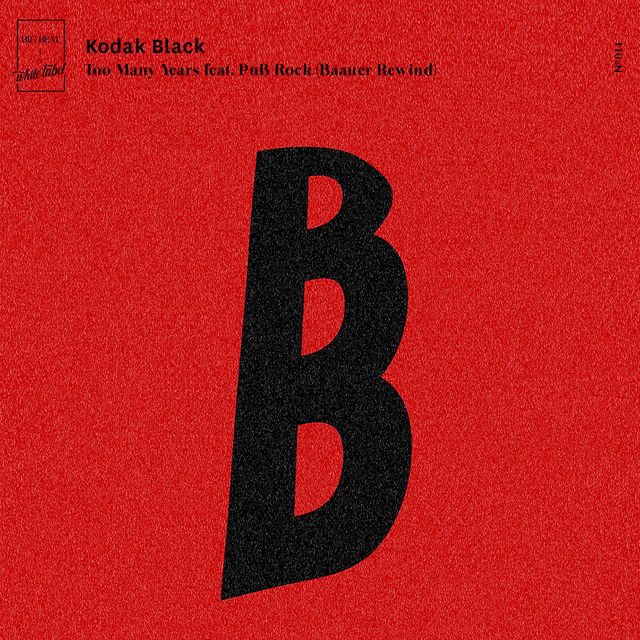 Too Many Years (feat. PnB Rock) (Baauer Rewind)