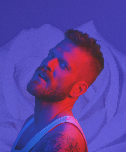Scott Hoying
