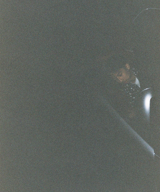 alan vuong