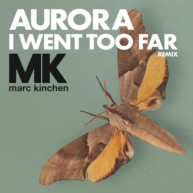I Went Too Far (MK Remix) (Radio Version)