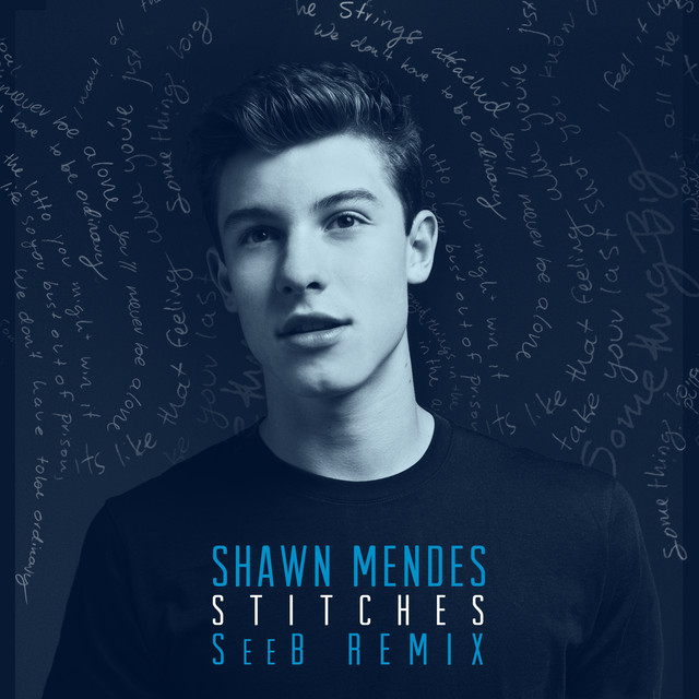 Stitches (Seeb Remix)