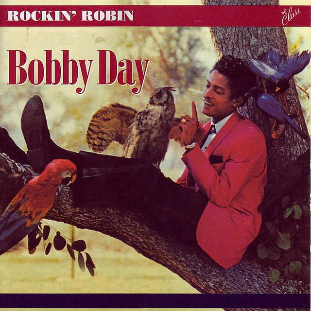 Rockin' With Robin