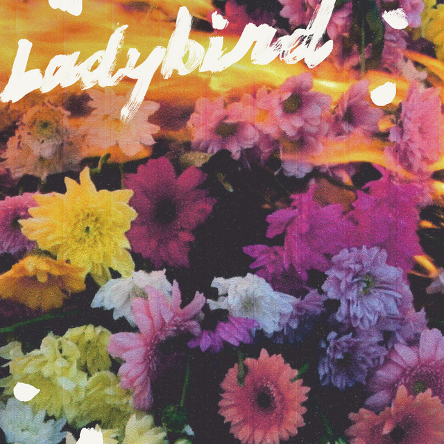 Ladybird