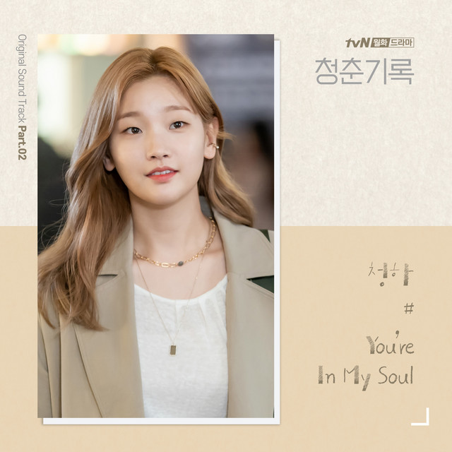 Record of Youth (Original Television Soundtrack) Pt. 2