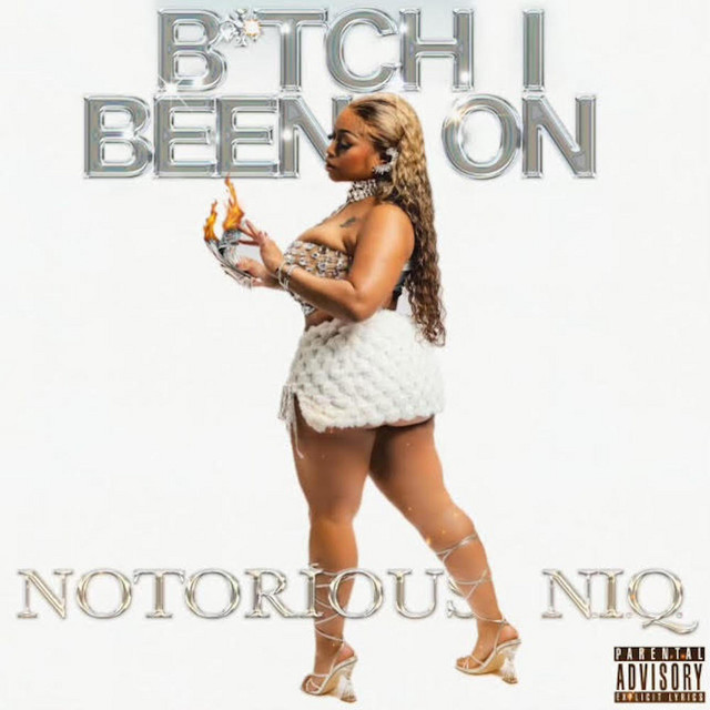 NOTORIOUS N.I.Q.