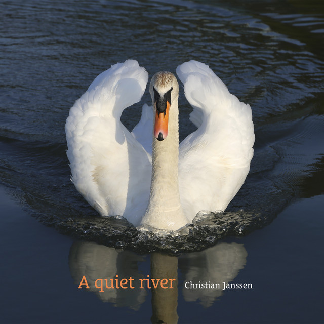 A quiet river