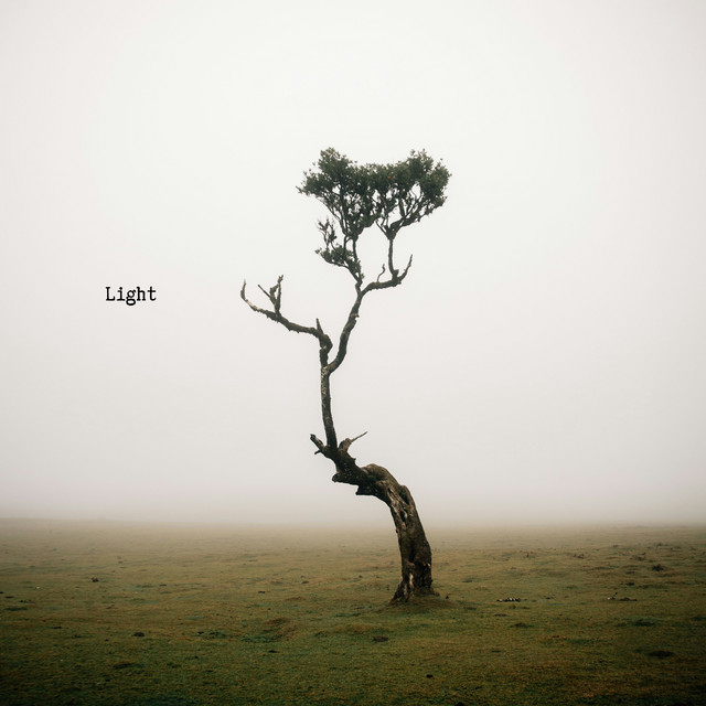 Light