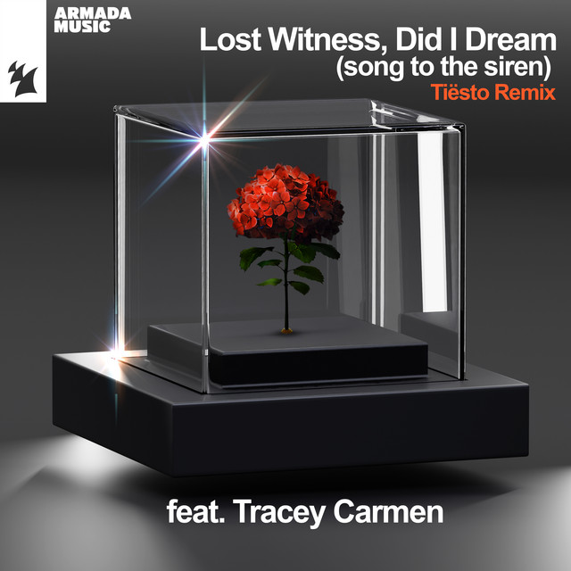 Did I Dream (Song To The Siren) [Tiësto Remix]