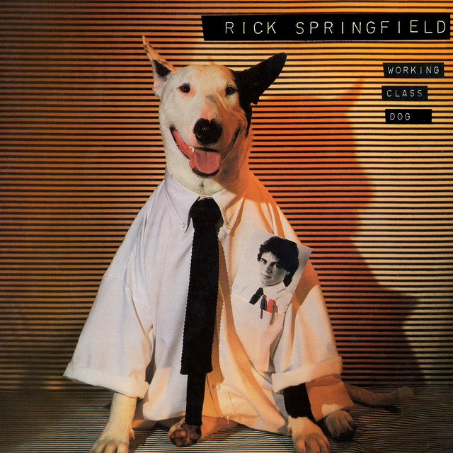 Working Class Dog