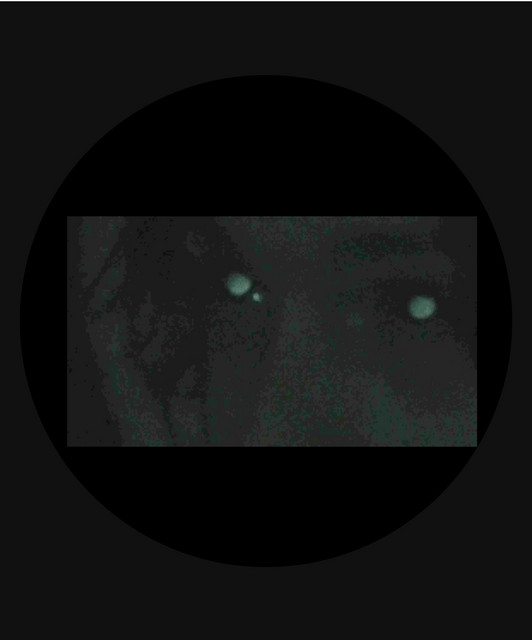 notinbed