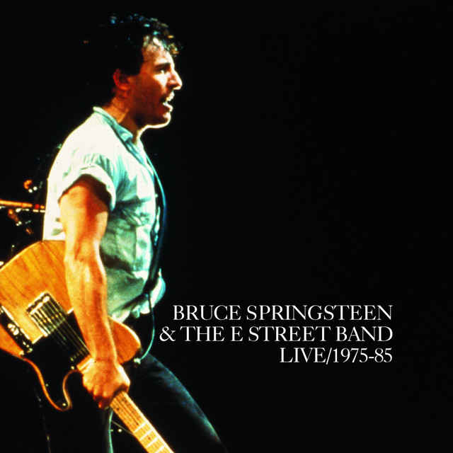 Bruce Springsteen & The E Street Band Live 1975-85 (Display Box)