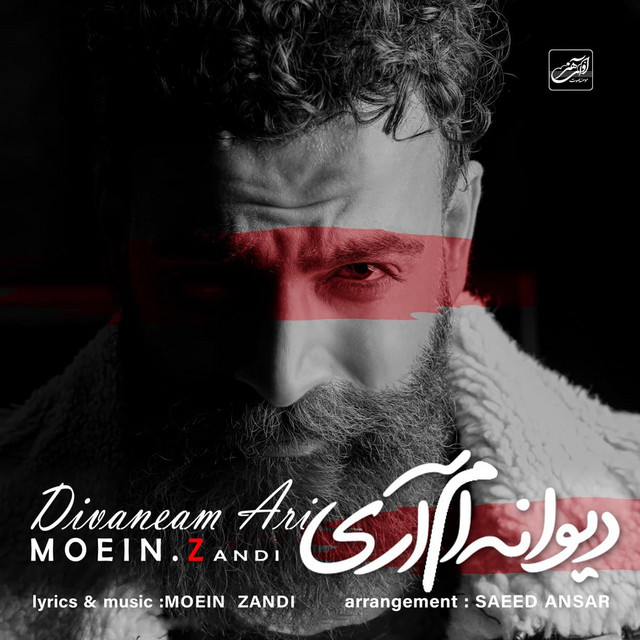 Divaneam Ari