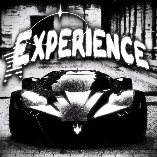 EXPERIENCE