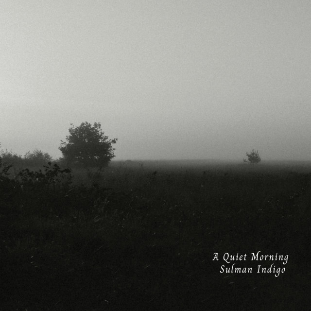 A Quiet Morning