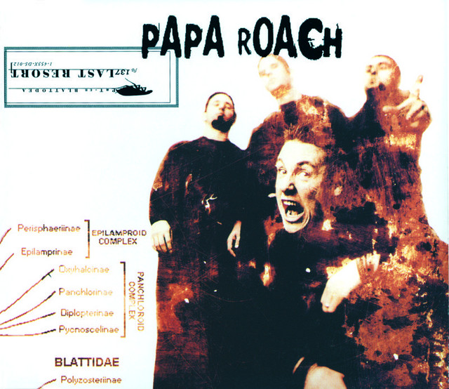 Last Resort (International Version)
