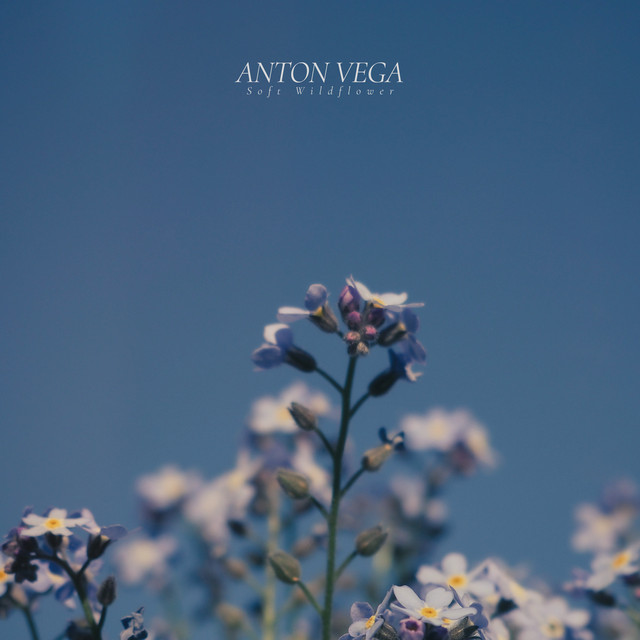Soft Wildflower