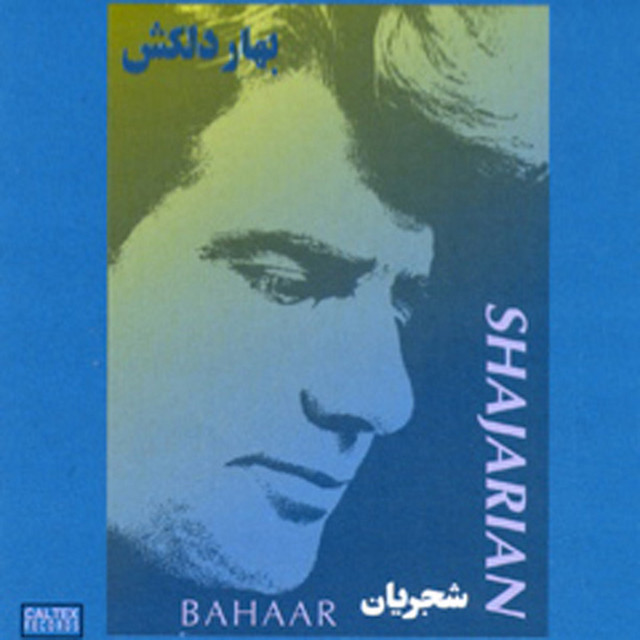 Bahare Delkash, Shajarian 2