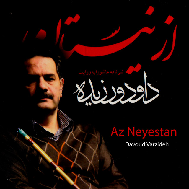 Davood Varzideh