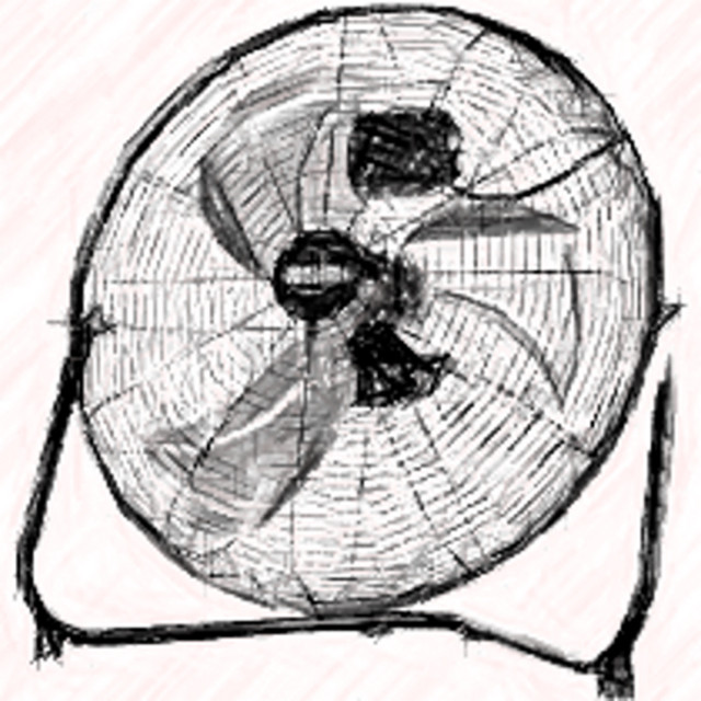 Fans